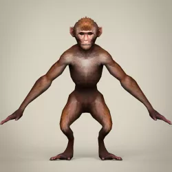 Game Ready Realistic Monkey