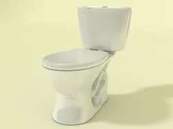 Ganamax toilet