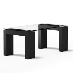 Glass Rectangular Coffee Table