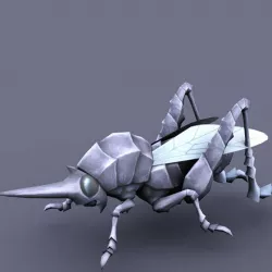 Grasshopper