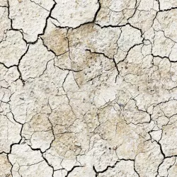 Ground Texture Desert Cracks