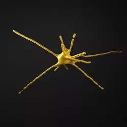 Growing Tendril