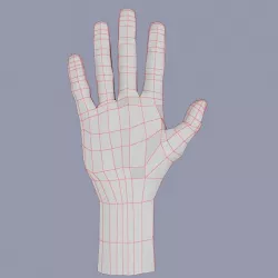 Hand Human Male