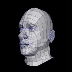 Human Head