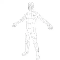 Human Male Base Mesh