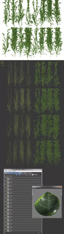 Ivy wall. 16 models