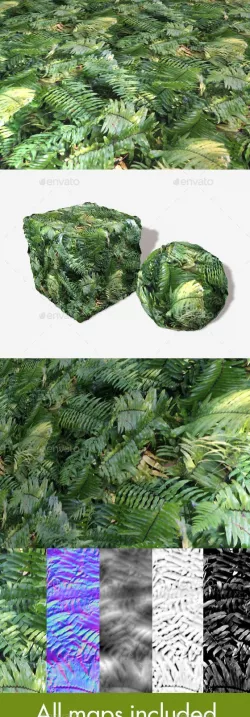 Jungle Background Fern Seamless Texture