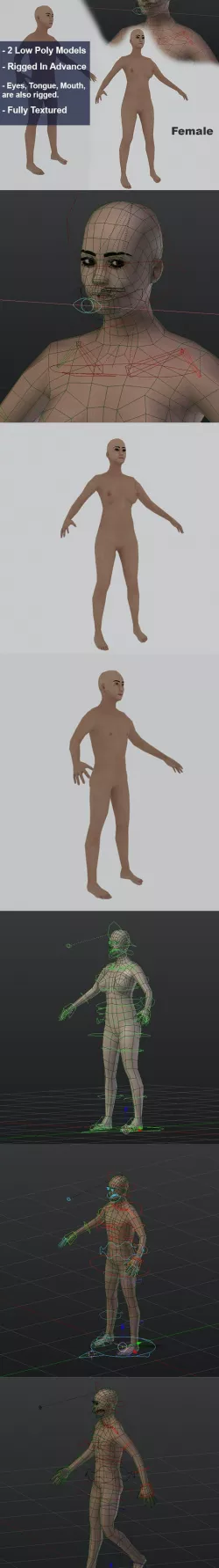 Low Poly Human