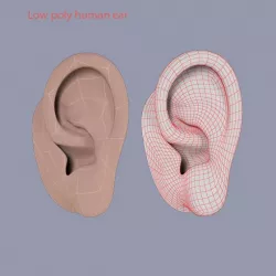 Low poly human ear
