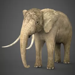 Low Poly Realistic Elephant