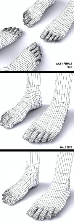 female feet 3D Models | Page 1 | STLFinder
