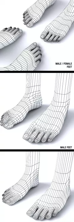 Male / Female Feet