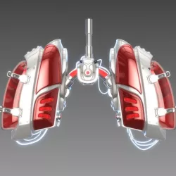 Mechanical lungs concept