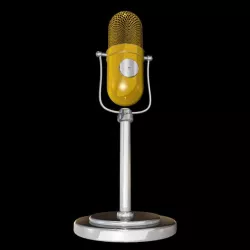 microphone