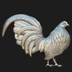 Rooster