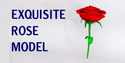 Rose 3D model