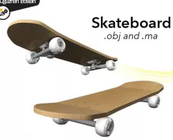 Skateboard