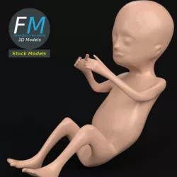 Stylized human fetus