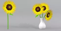 Sunflower and Sunflowers with Pots 3D Model