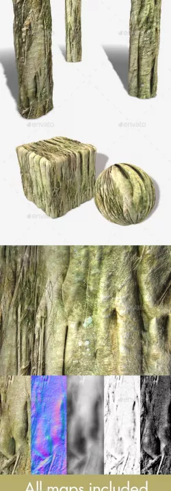 Swamp Tree Roots Seamless Texture