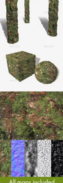 Thick Mossy Bark Seamless Texture 1