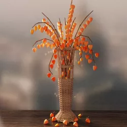 Vase with physalis