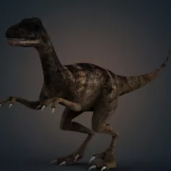 veloster raptor dinosaur
