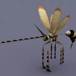 Wasp