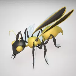Wasp
