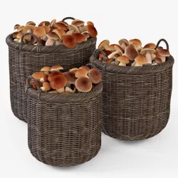 Wicker Basket 07 (Walnut Brown Color) with Mushrooms