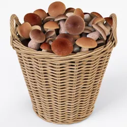 Wicker Basket Ikea Nipprig with Mushrooms