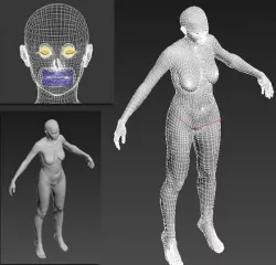 Woman Body Base