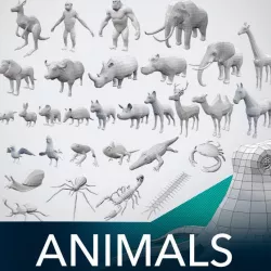 32 Animals Base Meshes