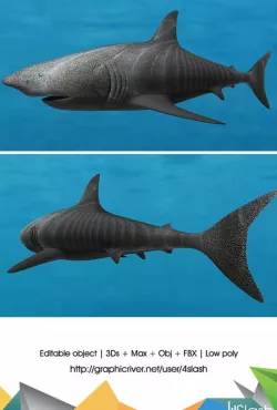 3d Shark