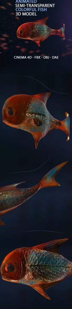 Animated Semi-transparent Fish Model