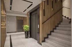 Apartments building Entrance Hall area Foyer Lobby with elevator interior design