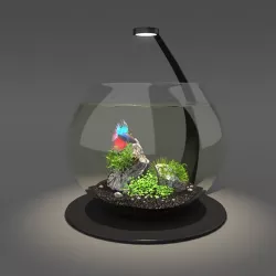 Aquarium bowl