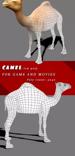 Camel