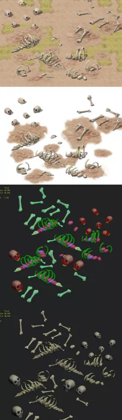 Cartoon version - bones