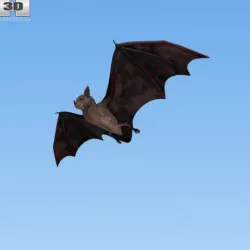 Common Bat