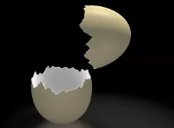 Cracked Egg