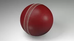 Cricket Ball