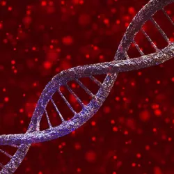 DNA Deoxyribo Nucleic Acid