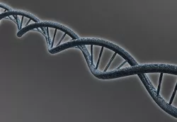 DNA structure