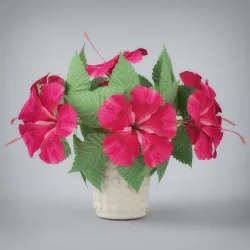 Flower Pot