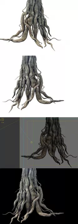 Game Model - Kashayana Buddha Forest Big Tree Root