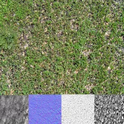 Grass Texture