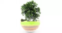 Greeny