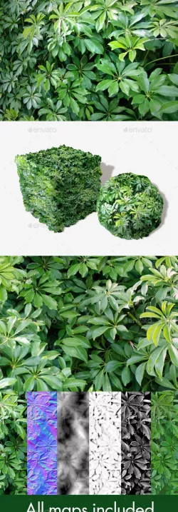 Jungle Leaves Seamless Texture