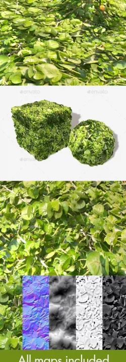 Jungle Shrubbery Seamless Texture